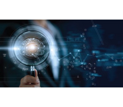 Role of Folate in Healthy Human Brain Function